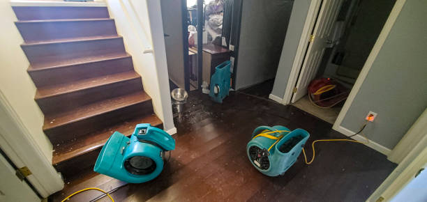 Best Carpet water damage restoration  in Salem, OR