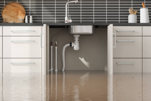 Best Water damage restoration near me  in Salem, OR